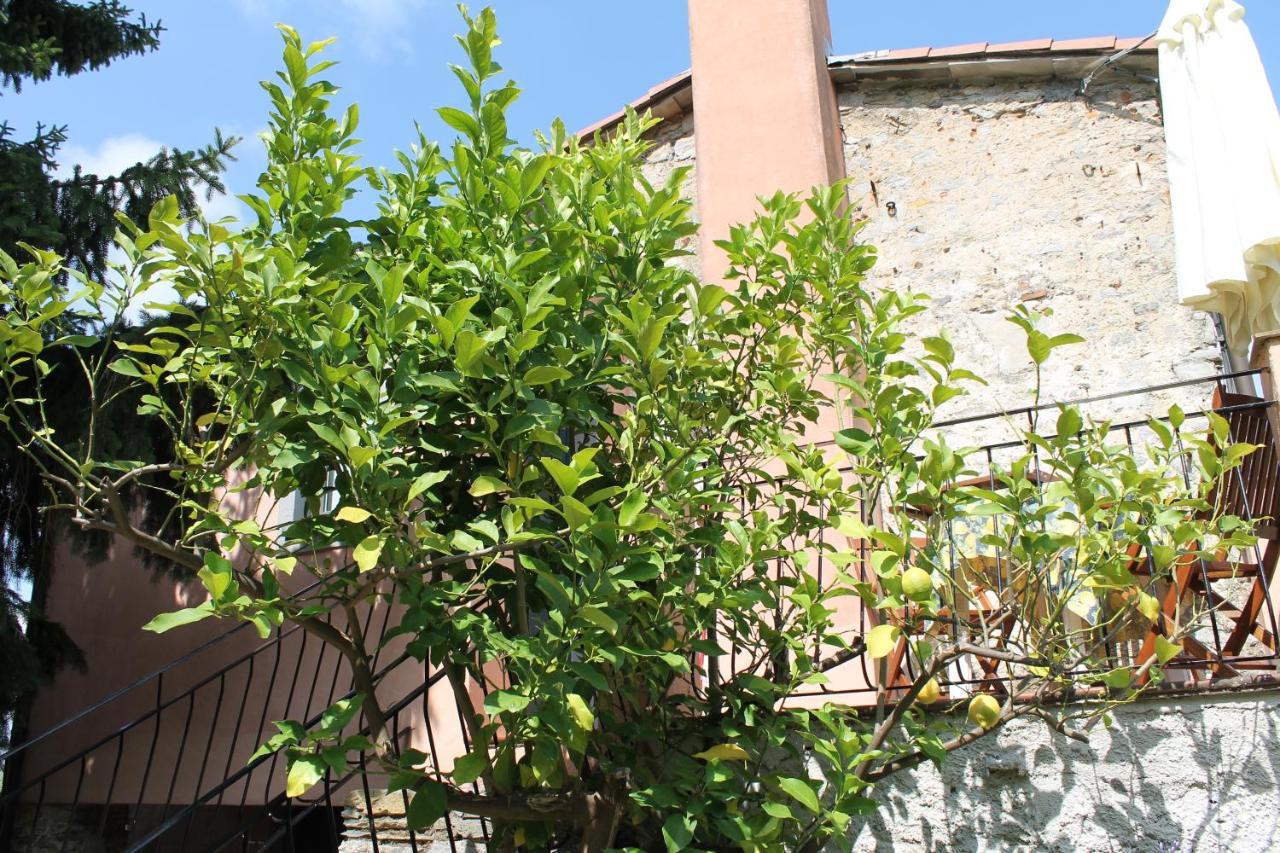 Agriturismo Terrazza Sul Golfo - Il Casale La Spezia Exterior foto
